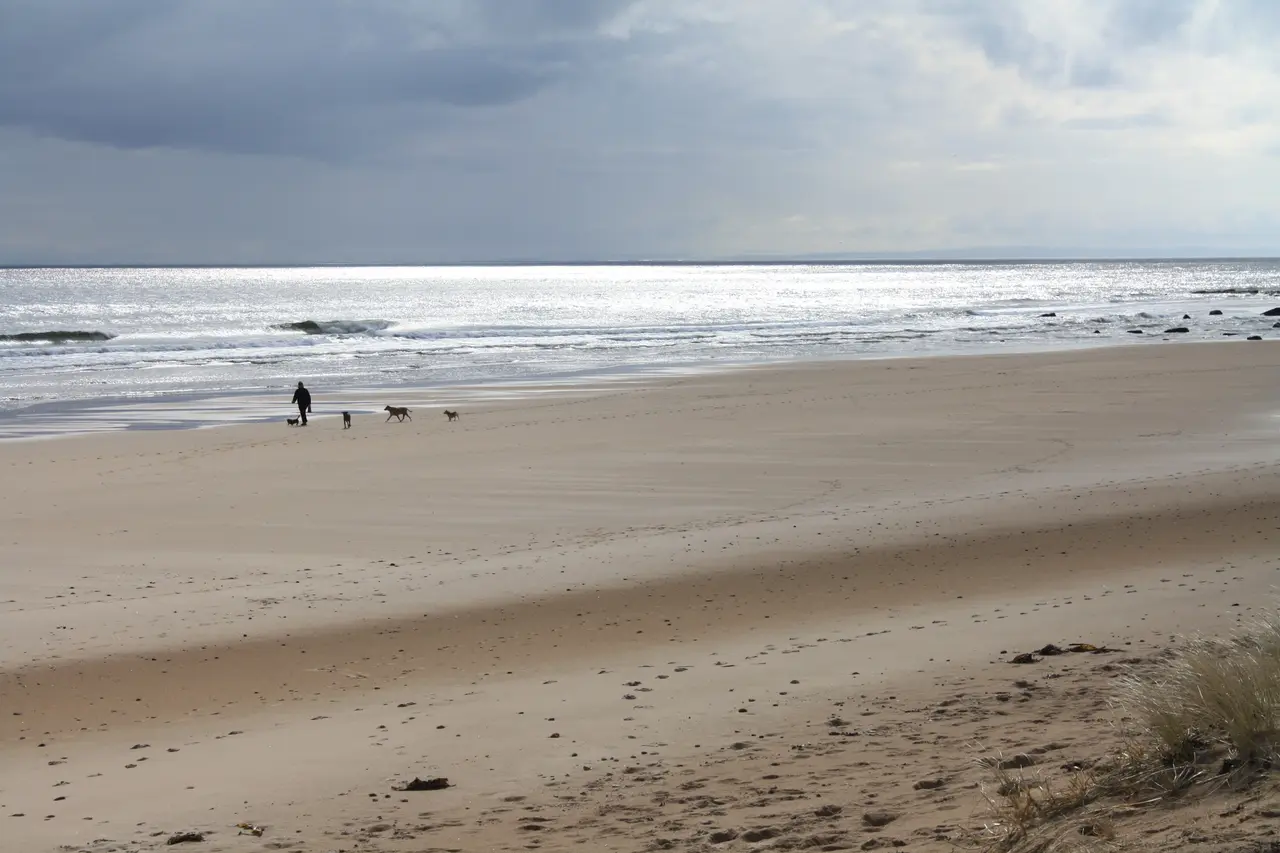 A dog walker and three dogs far off on the long empty sands at Brora in the Highlands, in early morning sun